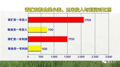 经历疫情、秋汛、农资价格上涨等不利因素影响,今年对粮食稳产增产的任务应格外重视。把14多亿人的饭碗端在自己手里,让百姓不仅“吃得饱”,也要“吃得好”,在错综复杂的国内外形势下,保障中国的粮食安全,任重道远。