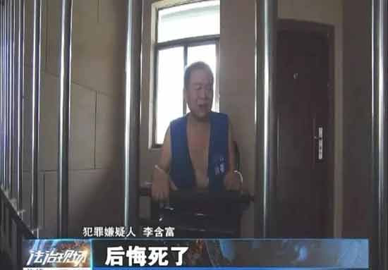 中国村霸横行录