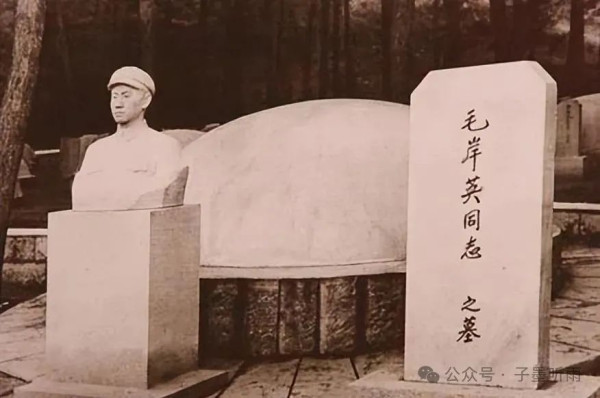 “幸亏”的背后是恐惧——戳破“毛岸英世袭”的无耻谎言