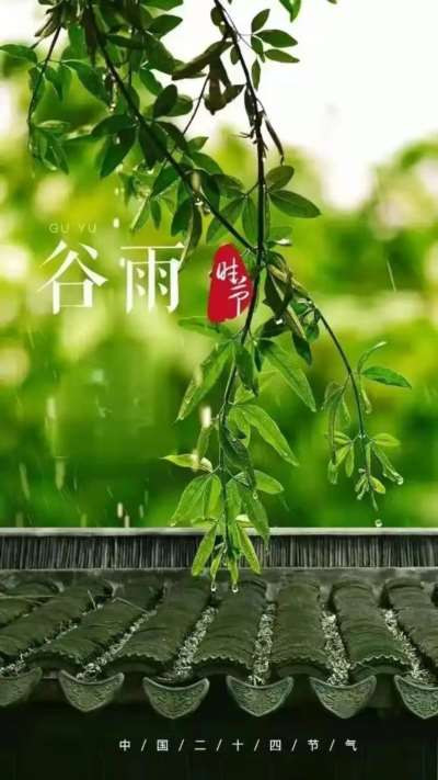 闫宏伟:节气诗词之谷雨(20260420)