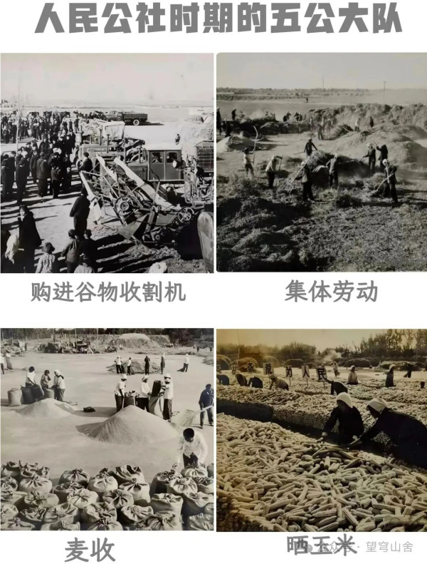 愿不愿分田到户？——《耿长锁与五公村口述史》札记之二