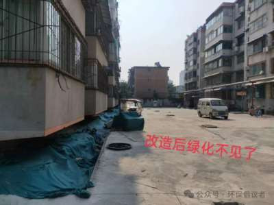 新乡市红旗区一社区铲绿扩路引质疑，老旧小区改造岂能“以硬代绿”？