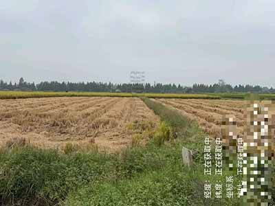 秸秆还田让农民多花了哪些钱？