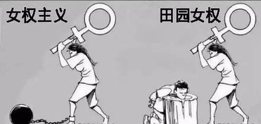 法国女性高呼抵制中国女权,声泪俱下要求回归家庭