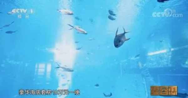 青年的思想,最能反映社会的思想。社会流行什么,年轻人最容易受影响。这说明什么问题?说明我们的社会有问题啊。还是“当官发财”那一套!