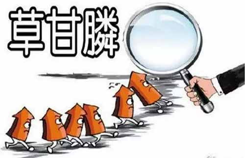 反转半月报 | 草甘膦危害被持续揭露,孟山都种子专利仍制约巴西农民