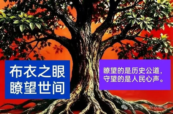 通过分析四位代表性知识分子的经历，清晰印证思想脱节的时代症结。