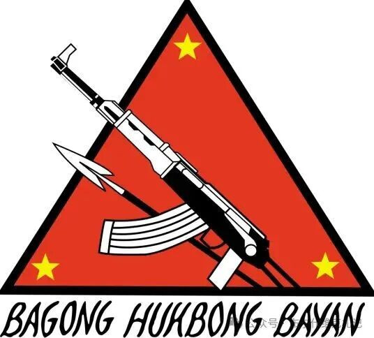 起来。支持菲律宾共产党。支持新人民军。 不是因为他们完美无缺，而是因为在这个被腐败和暴力统治的国家里，只有他们还在为你们而战。