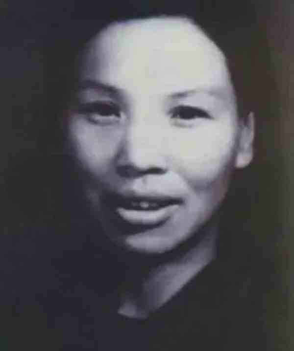 刘思齐回忆:毛岸英赴战场前特意交代了四件事,牺牲后才明白寓意