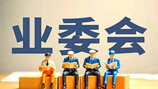 【合法性审查建议①】湘建维〔2026〕14号细则多条涉嫌越权违法，业主正式提请省人大备案审查