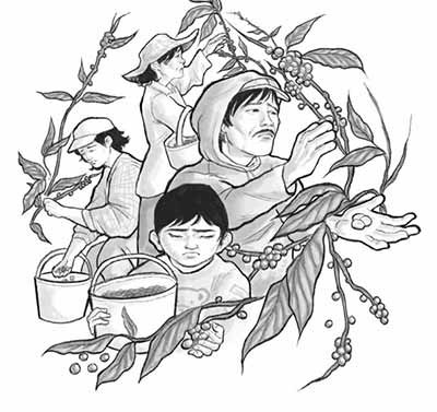苏丹库达拉特咖啡农的艰辛生活——菲律宾共产党《民族报》