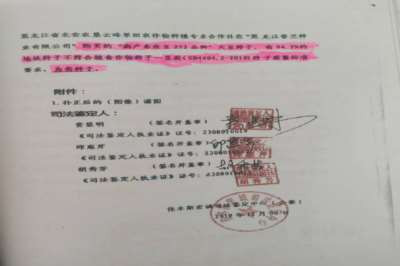 劣种横行黑土地 维权无路问公平——黑龙江宾县、呼兰伪劣大豆种子案深度调查：从科研失范、企业造假到监管空转的全链条失守