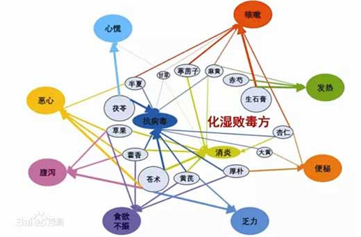 不管是青蒿素还是甘草酸二铵或者是甘草苷，这里面有的是已经面市的有效药物，有的是将来可能成为有效药物，它们都是从中国医药学这个伟大宝库中发掘出来的。这样的研究有其现实意义，正如屠呦呦老师所说的——这样的研究是中西医二者的有机结合和优势互补。