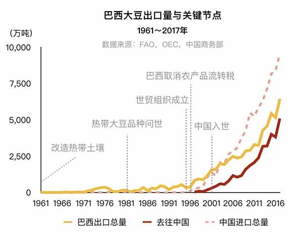 亚马逊之火，因何燃起，谁在加油？