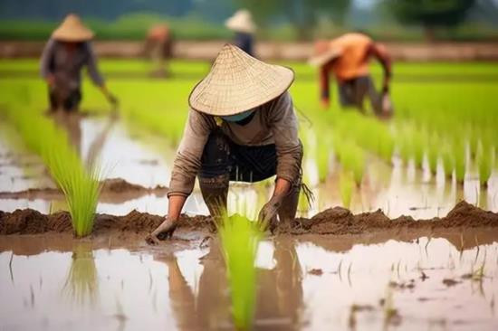 在当代社会,无论是分析市场经济中的劳资关系、技术变革对生产方式的影响,还是探讨社会公平、制度改革等现实问题,都离不开对生产力与生产关系辩证关系的把握。只有立足物质资料生产的实践本质,坚持辩证唯物主义的思维方法,才能准确认识社会发展的趋势,为解决现实问题、推动社会进步提供科学的理论指导。