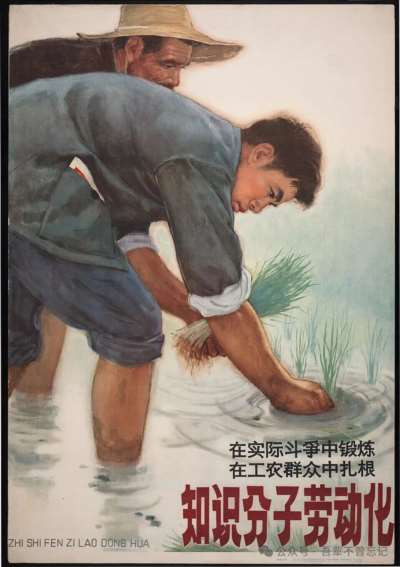 摩罗】劳动人民的责任感才是民族希望所在