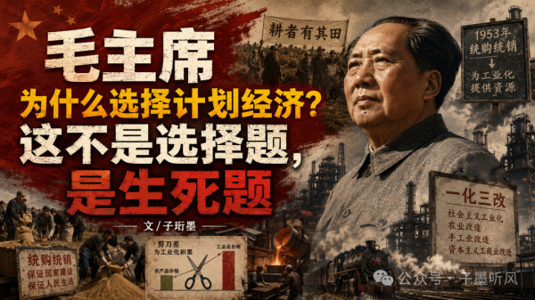 计划经济与公有制，绝不是某个人在书斋里狂热的理念选择，而是这个民族为了在资本主义列强的绞杀下活下去、为了用最短时间砸碎落后挨打的宿命，而被迫采用的唯一一种、也是最悲壮的一种结构性应对方案。