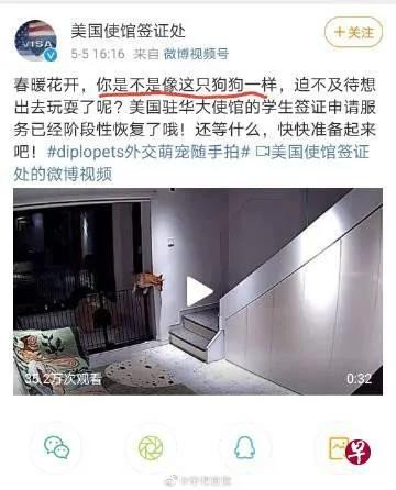 今天，美国将中国留学生视为狗，这是何等的耻辱！难道我们还要去攀爬美国的那些栅栏？还要去称颂美国的空气是甜的？还要去当美国人的狗？还要去看美国人轻蔑、傲慢、冰冷的眼光？醒醒吧，我的中国同胞！