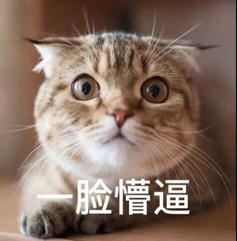 《民主课》以小说形式还原了20世纪60-70年代的历史现场,带我们回到了那个激情燃烧的岁月,让我们看到了那些不论幼稚不论荒唐却充满真诚善良的普通人的成长,以及中国人民生生不息的对平等的追求和要求。