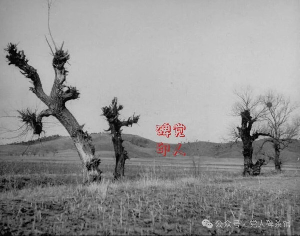 胜负已分，“救命军”与“遭殃军”