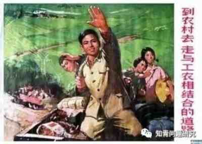 知青的榜样和骄傲——张革