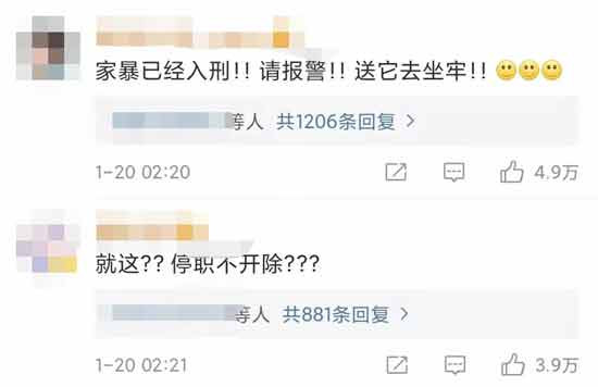 日本“全职太太”很幸福?她们正在天天咒老公死