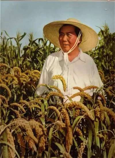 报告集中地反映了我们党政组织在农村工作中一些严重地脱离农民群众、损害农民及其积极分子的利益的问题，即所谓“五多”问题。