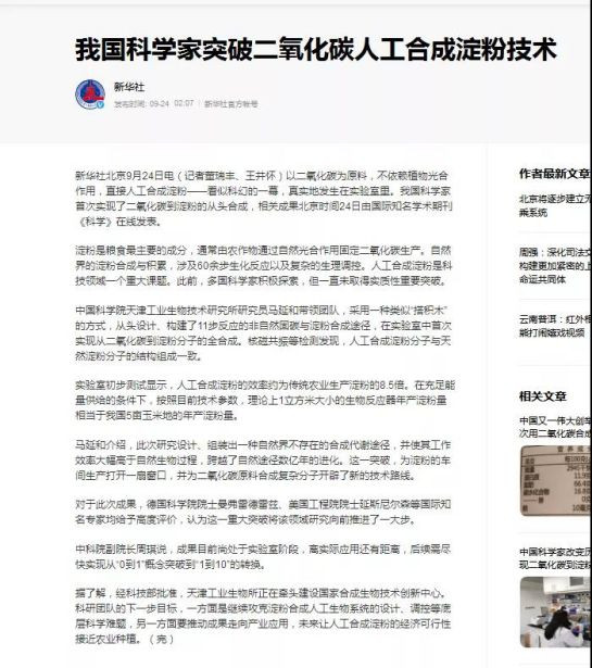 幻想还是噩梦？