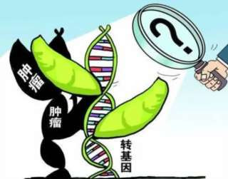 现在人没几个真正恨那些贪官的,大多数人都是恨自己不是贪官,恨自己的爹不是贪官。自己没有成为不公平的受益者,所以才在嘴上恨贪官。