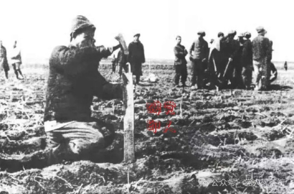 胜负已分，“救命军”与“遭殃军”