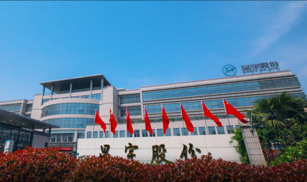 毕竟连进京上访都从制度上给做了限制,这下好了,星宇车灯教会大家去欧美告洋状。这种情况是谁造成的?星宇车灯啊!