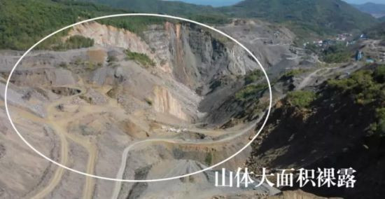 企业毁林开矿，政府来“打掩护”...胆子怎么这么大？