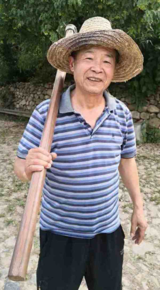 办农民合作社,我由衷佩服大集体时期的生产队长