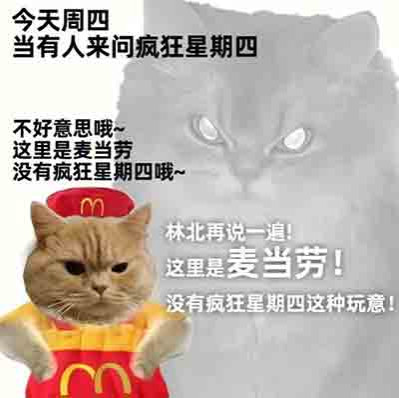从来没有“他们”,只有“我们”,我自己就是工人群众的一员。