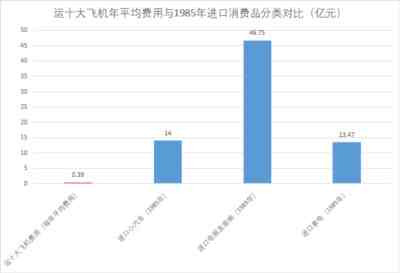 上海原来搞的大型客机受“四人帮”干扰破坏，花钱很多，把握不大，办法不对，要停下来。