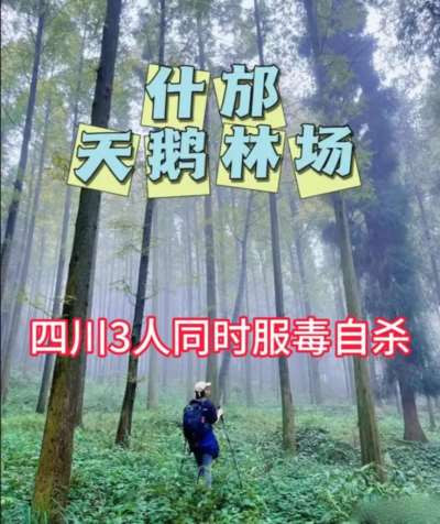 我们不能回避自杀事件频仍的“社会原因”,我们的社会的确出了问题,这些问题迫切需要改变,不能象驼鸟一样假装看不见