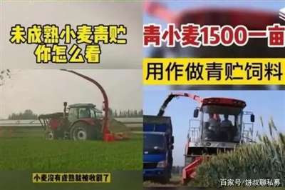 经历疫情、秋汛、农资价格上涨等不利因素影响,今年对粮食稳产增产的任务应格外重视。把14多亿人的饭碗端在自己手里,让百姓不仅“吃得饱”,也要“吃得好”,在错综复杂的国内外形势下,保障中国的粮食安全,任重道远。
