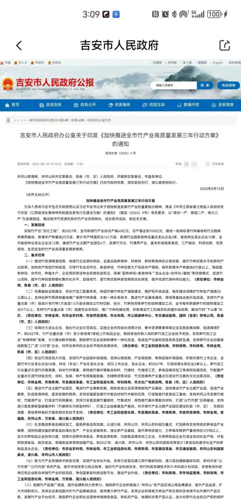 本文将更深入讨论一个问题,为什么中国要大力地发展替代石油的技术和产业?这个如果要给一个简单的回答可以特别简单,就是中国缺石油,对外依存度太大,而石油产业细分领域又大多是对整个国民经济影响巨大的领域。因此,这个资源对外依存度太大就是对中国在战略上非常危险的事情。但是,如果要清楚理解这个事情,还是需要深入展开一下来分析一些基本的逻辑。
