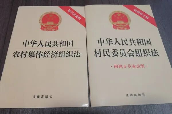 本文以2026年5月山东省临沂市毛庄村村委会换届选举为案例，通过将村委会主任与公务员科员进行“权力—责任—程序”对比分析，论证参照国家公务员考试标准规范基层选举的必要性，并从程序刚性化、资格标准化、审计前置化、误工费法定化、就职宣誓制度化、刑事责任法定化等维度提出制度重构建议。