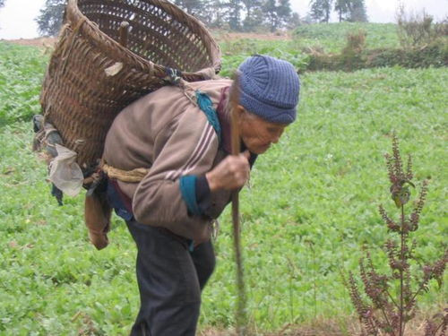 曾经美丽富饶的八百里秦川，未来的出路究竟在何方?