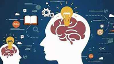 教学信息员制度在高校运行中呈现的"一届热、二届冷、三届空转"的低水平往复现象并非孤立的制度偶发问题，而是在微观治理场域呈现与宏大历史周期律某种结构相似性的治理现象。