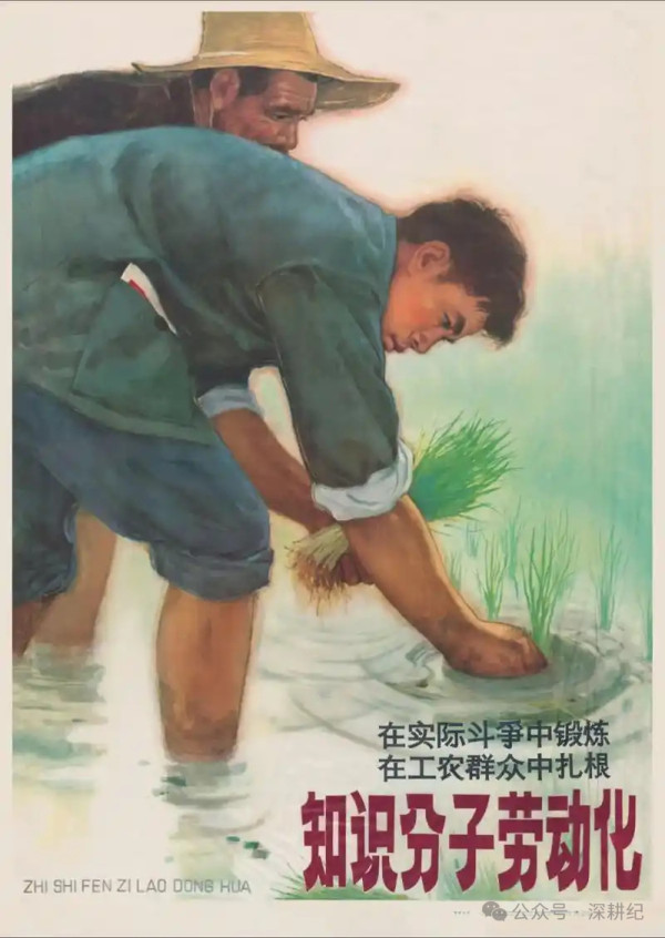 对于今天的青年而言,真正重要的不是放弃读书,而是摆脱幻想。既不要因为高考失利而否定自己,也不要因为考上名校就产生优越感。既要努力学习,也要看清现实。既要追求个人发展,也要认识到自己与广大劳动群众共同的命运。