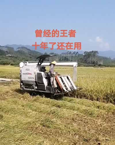 谁的机械化？升级的收割机和失业的农民