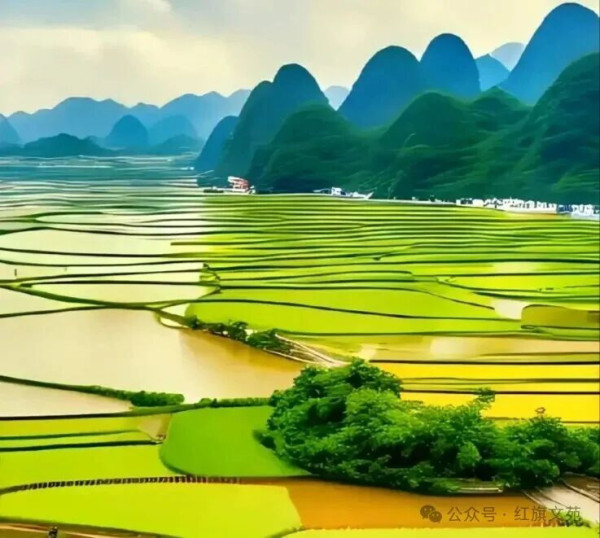 我是农民