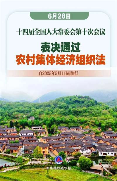 《组织法》之后：农村集体经济的现实困境与未来之问