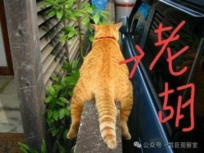 我们与胡锡进以及五鼠六害之流的斗争,本质上是对在走资走社会的道路上的方向之争、方法之争、本质之争、政治之争和阶级之争。这是两个方向、两条道路、两种势力、两大阵营的对决与斗争。