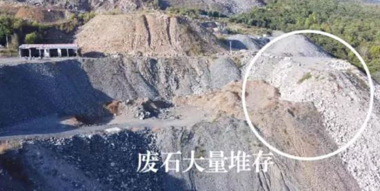 企业毁林开矿，政府来“打掩护”...胆子怎么这么大？