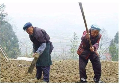 在我看来,农村只有按照《农村集体经济组织法》,大力发展农村集体经济才是解决70多岁老人还在种地的必由之路。