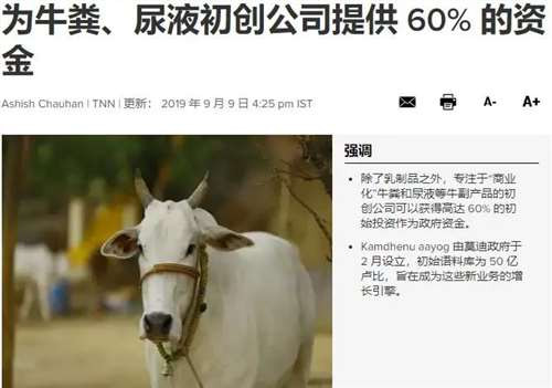 印度人喝牛尿吃牛粪，到底是圣牛传统，还是驭民之术？
