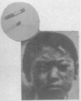 这本1960年中国青年出版社的小册子，分资本家是怎么起家的？资本家怎样剥削工人？资本家怎样压迫工人？资产阶级分子对社会主义的猖狂进攻，兴无灭资革命到底等几部分揭露了资本主义的罪恶，对于提高无产阶级认识觉悟很有助益。本站连载刊出，此章分上下两载，此为四（下）。